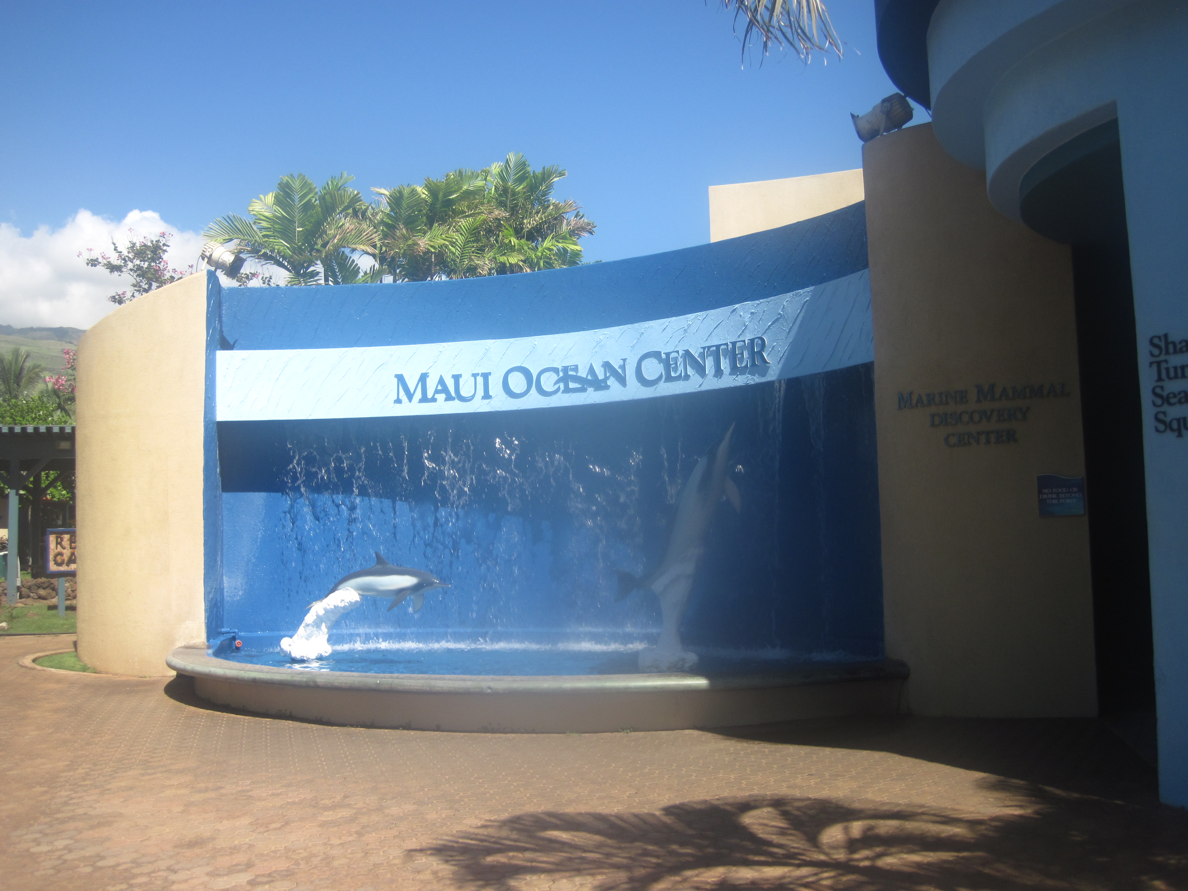 Dolphin Sculptures at Maui Ocean Center