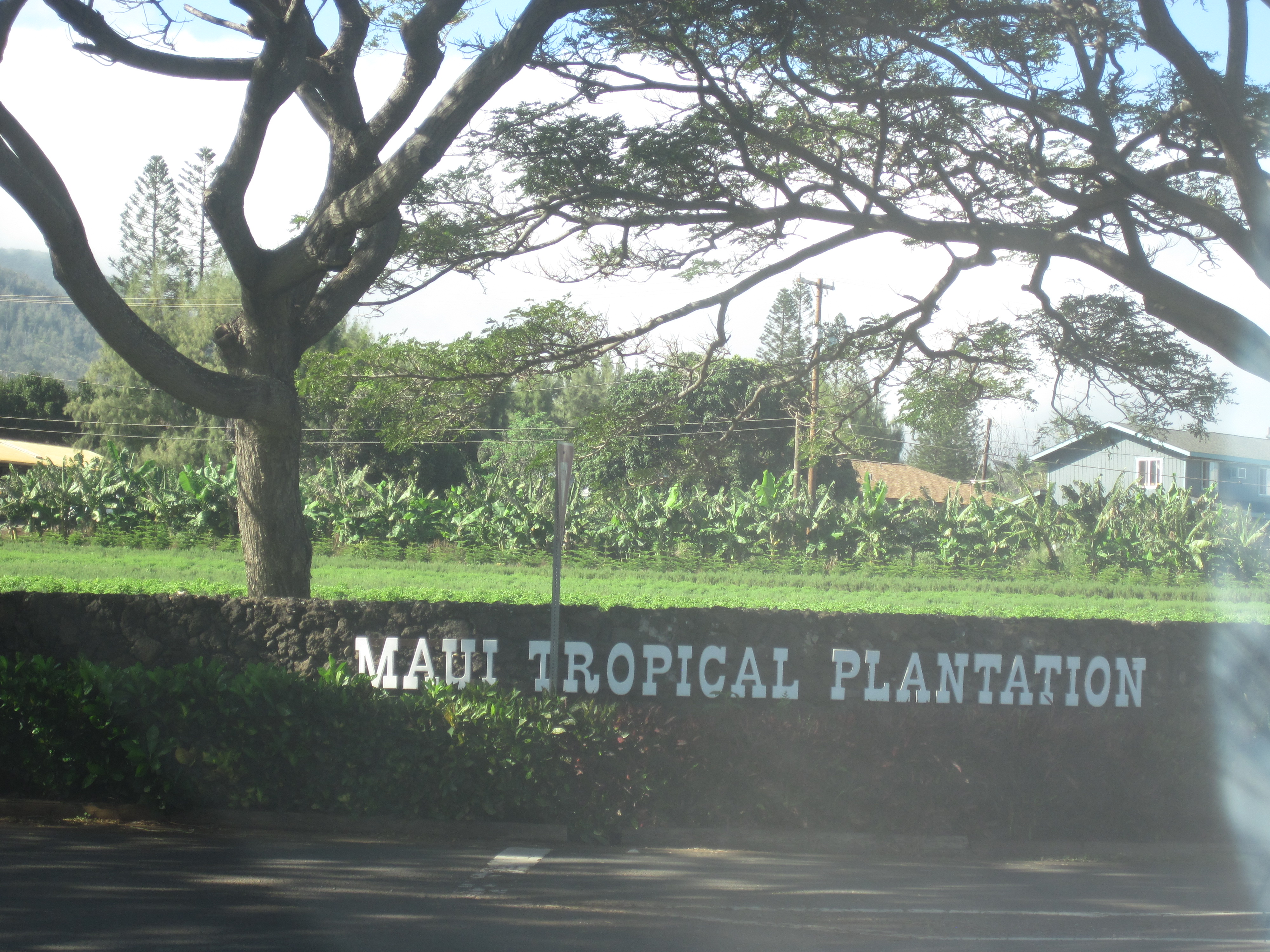 Maui Tropical Plantation