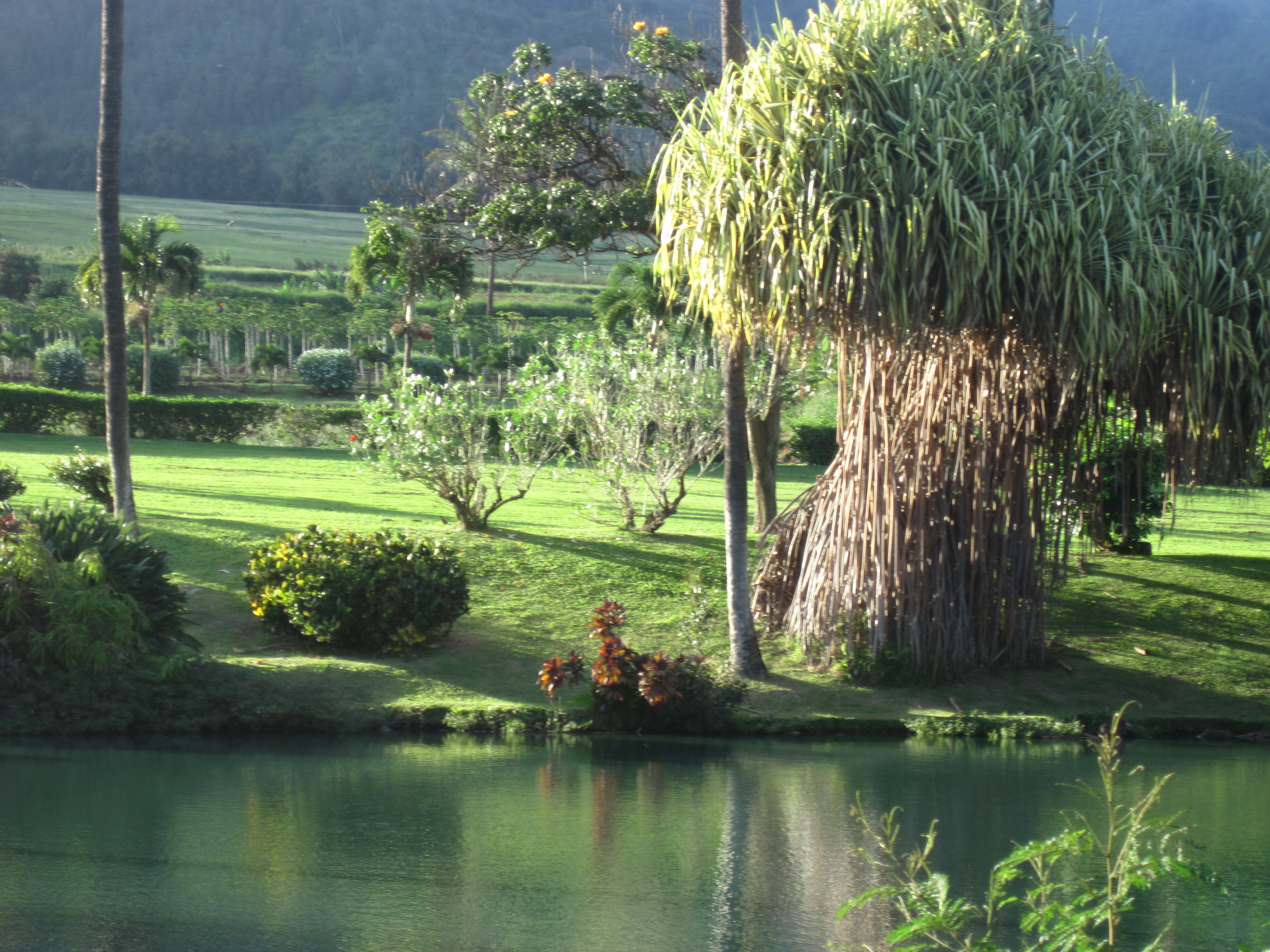 West Maui Mountains beyond Maui Tropical Plantation