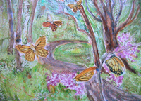 Butterflies in Woods