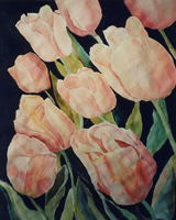 Peach Tulips